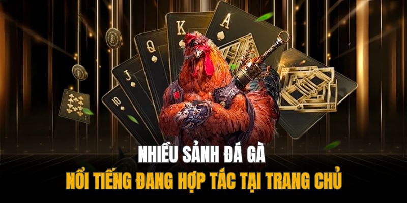 Chơi gì tại nhà cái DAGA để thắng lớn?